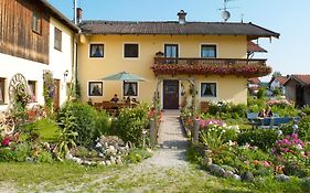 Stefanutti-Hof
